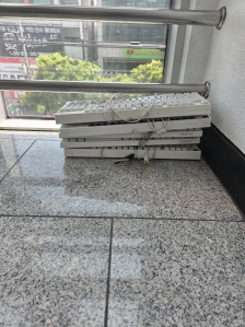 게시글 썸네일