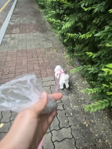 게시글 썸네일