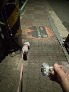 게시글 썸네일