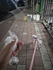 게시글 썸네일