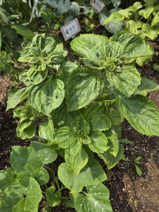 게시글 썸네일