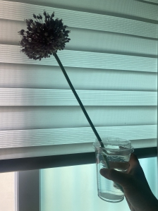 게시글 썸네일
