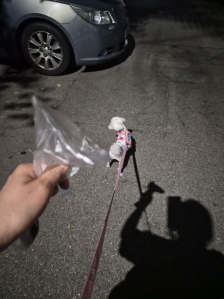 게시글 썸네일