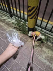 게시글 썸네일