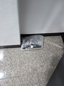 게시글 썸네일