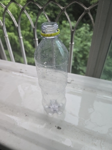게시글 썸네일