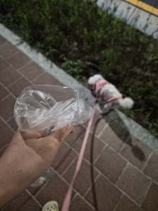 게시글 썸네일