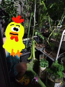 게시글 썸네일