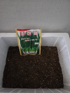 게시글 썸네일