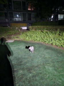 게시글 썸네일