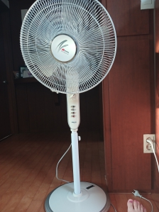 게시글 썸네일