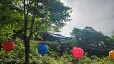 게시글 썸네일