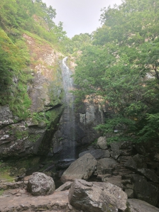 게시글 썸네일