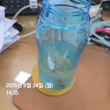 게시글 썸네일