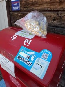 게시글 썸네일