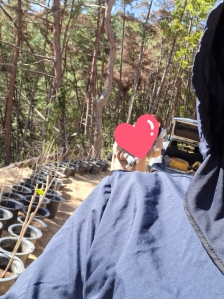 게시글 썸네일